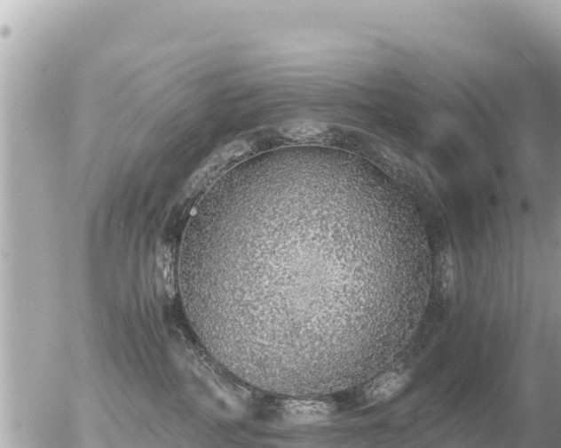 X0000056000234200508261758