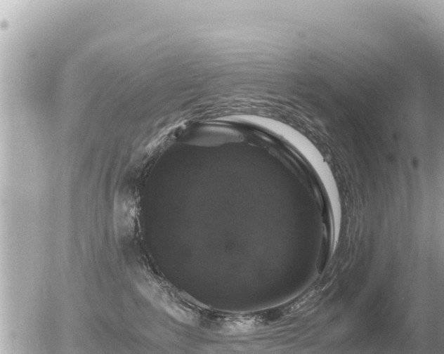 X0000056000235200508261758