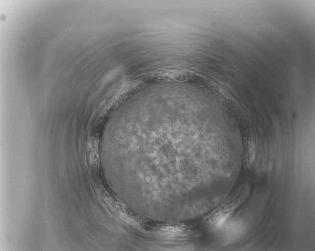 X0000056000236200508261757