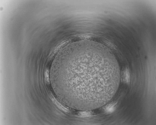 X0000056000238200508261757