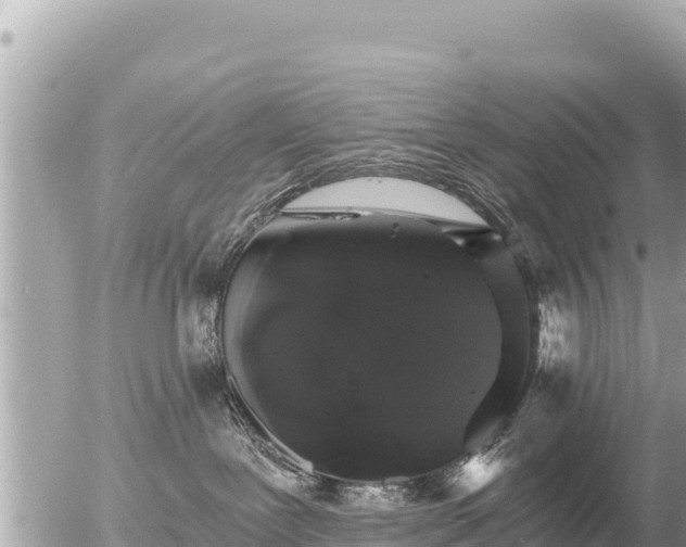 X0000056000239200508261757