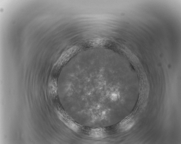 X0000056000240200508261757