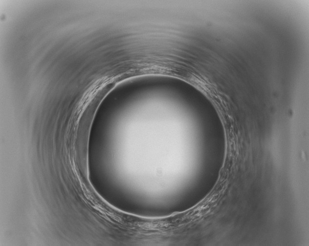 X0000056000241200508261757