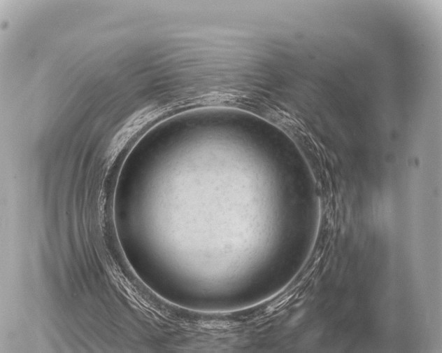 X0000056000242200508261757