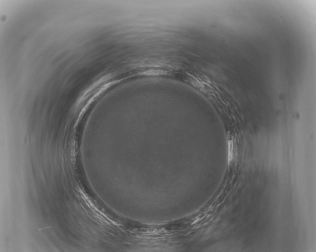 X0000056000243200508261757