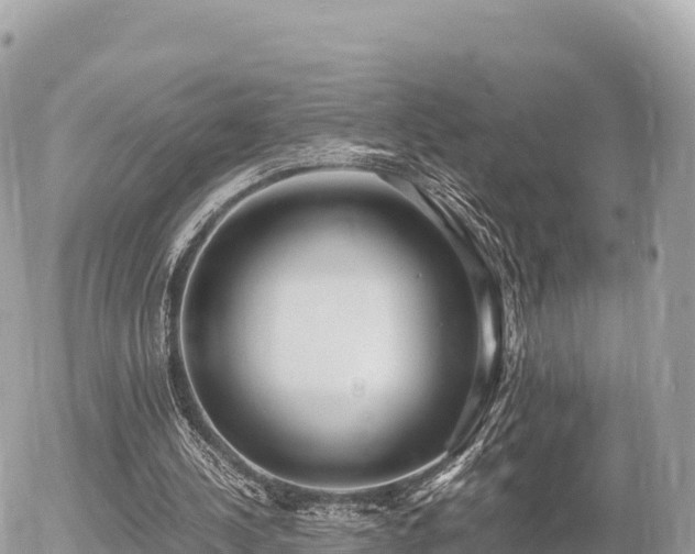 X0000056000244200508261757