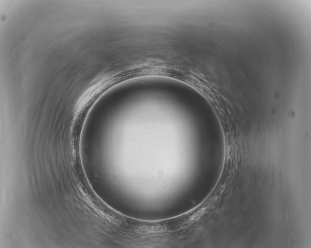 X0000056000245200508261757