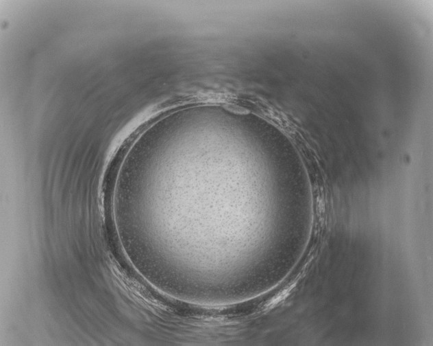 X0000056000246200508261757