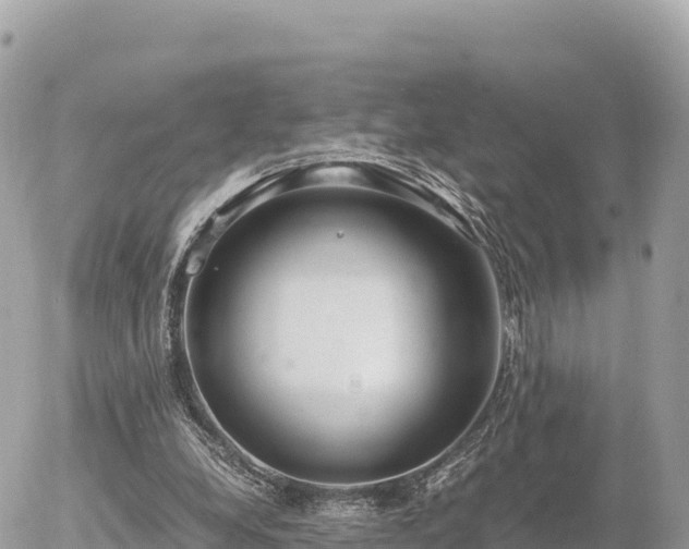 X0000056000248200508261757