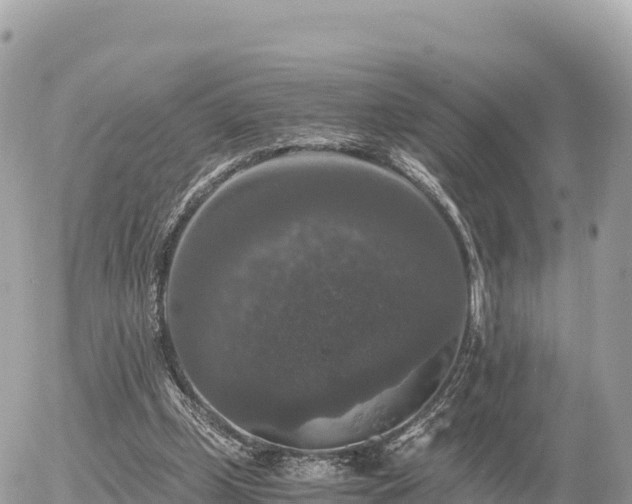 X0000056000249200508261757