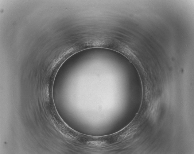 X0000056000251200508261757