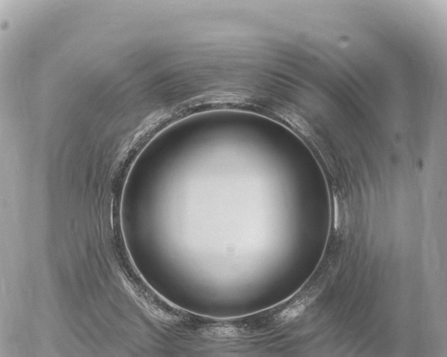 X0000056000253200508261757