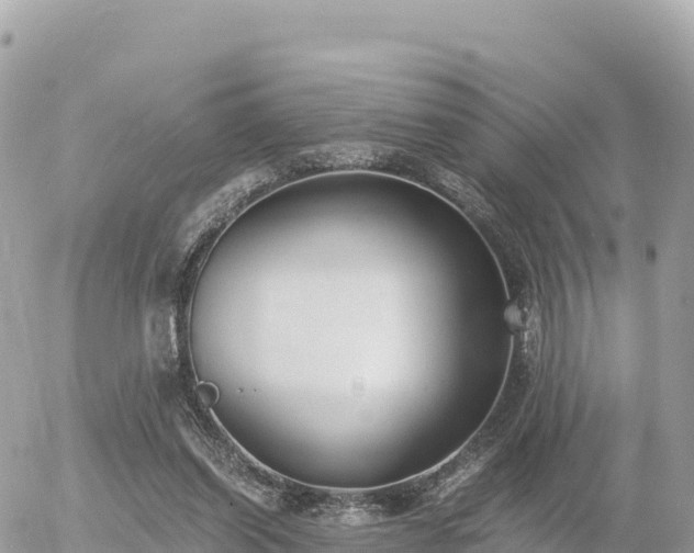 X0000056000254200508261757