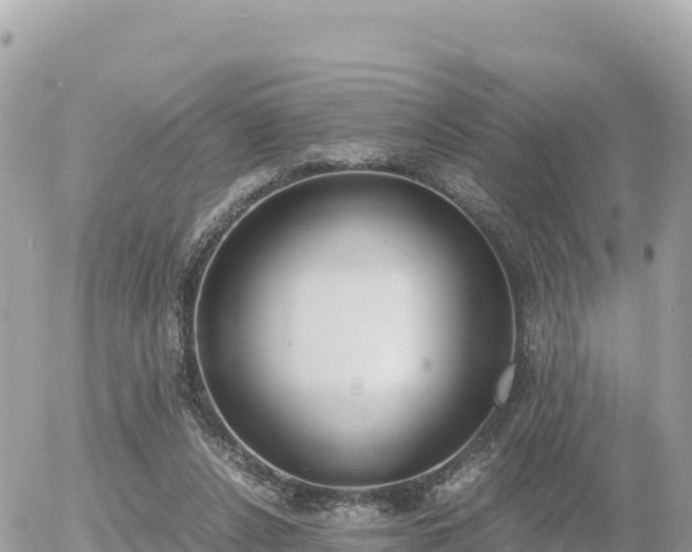 X0000056000256200508261757