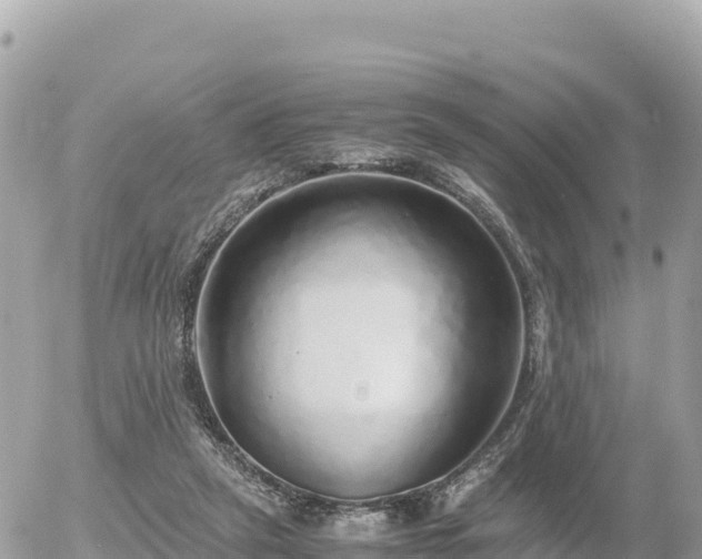 X0000056000257200508261757