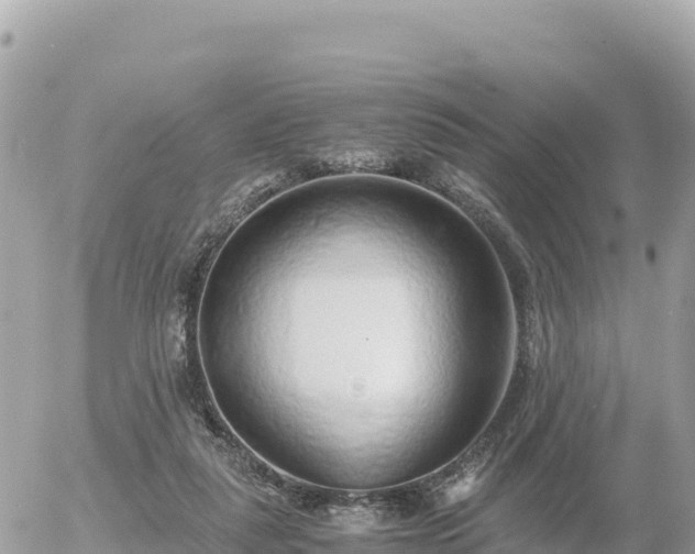 X0000056000259200508261757