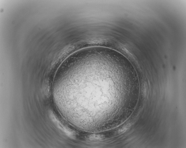 X0000056000261200508261757