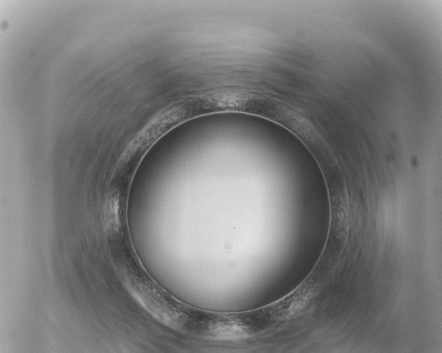 X0000056000262200508261757