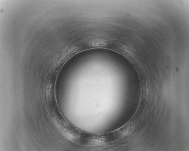 X0000056000263200508261757