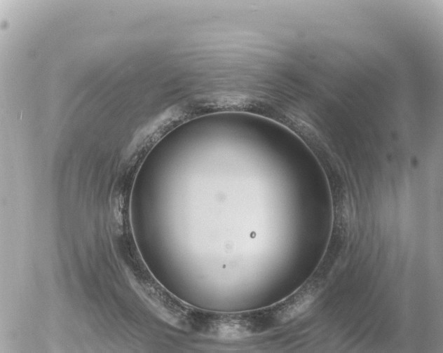 X0000056000264200508261757