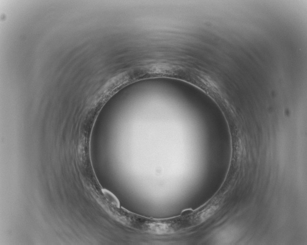 X0000056000265200508261757