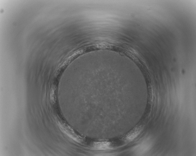 X0000056000266200508261757