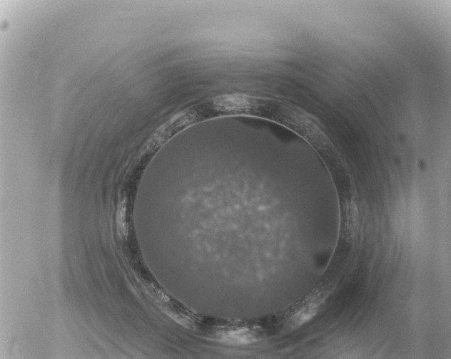 X0000056000267200508261757