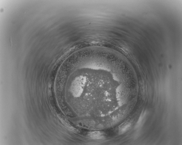 X0000056000269200508261757