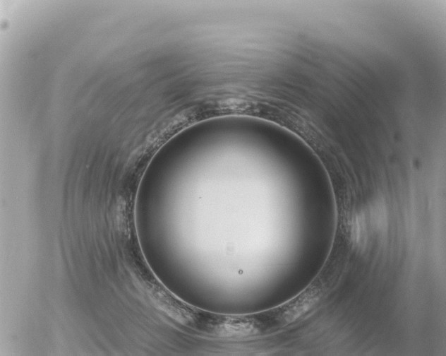 X0000056000270200508261757