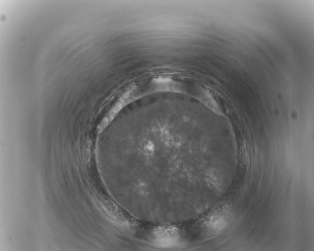 X0000056000271200508261757