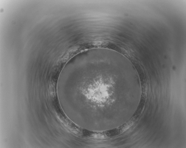 X0000056000272200508261757