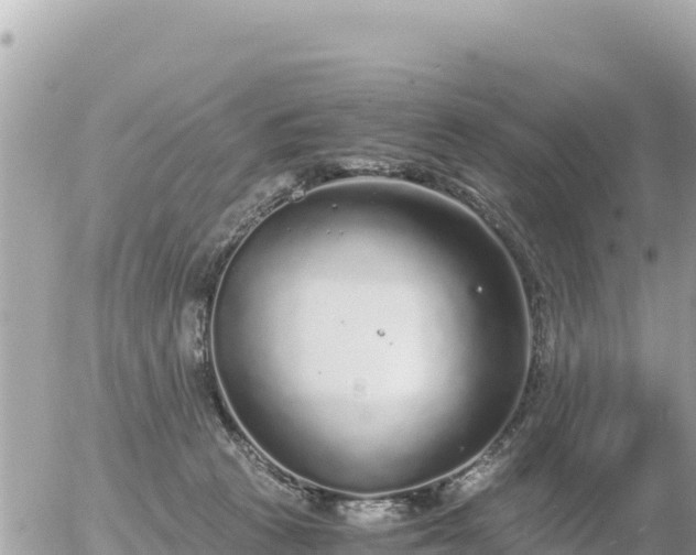 X0000056000273200508261757