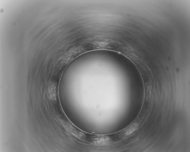 X0000056000274200508261757