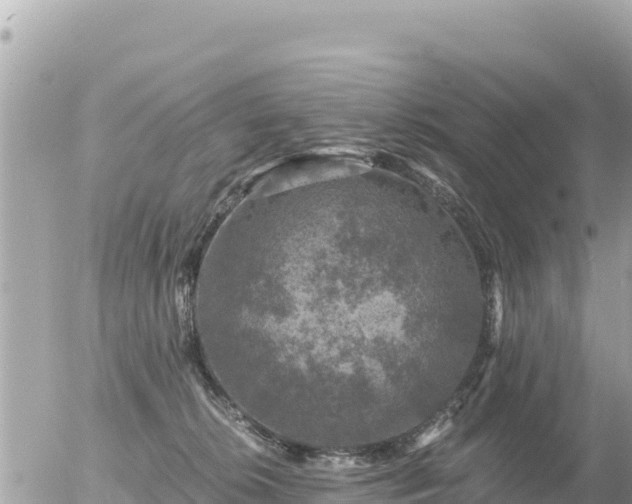 X0000056000276200508261757