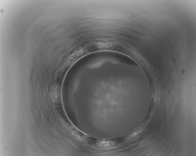 X0000056000277200508261757