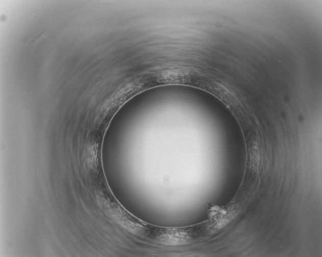 X0000056000278200508261757