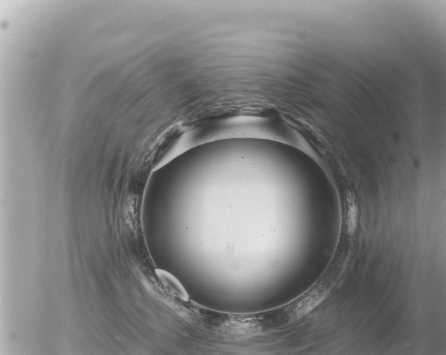 X0000056000280200508261757