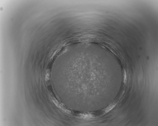 X0000056000284200508261757