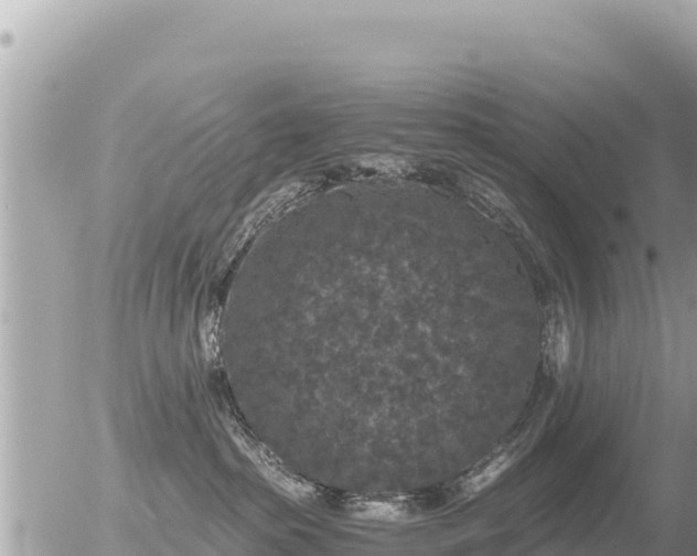 X0000056000285200508261757