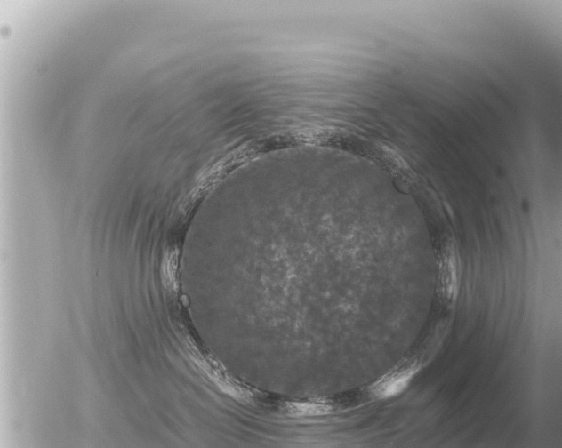 X0000056000286200508261757