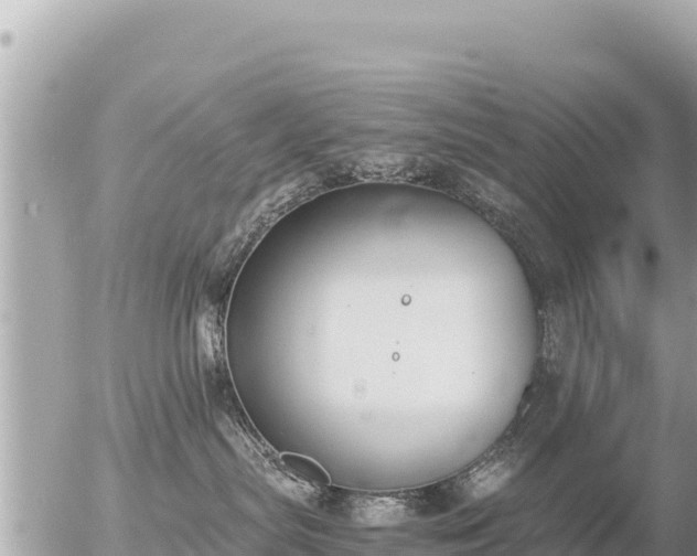 X0000056000287200508261757