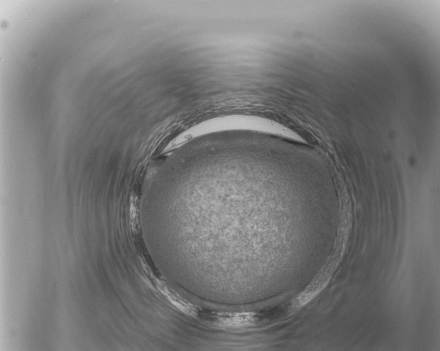 X0000056000288200508261757