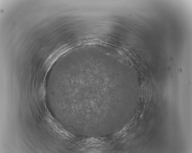 X0000056000290200508261757