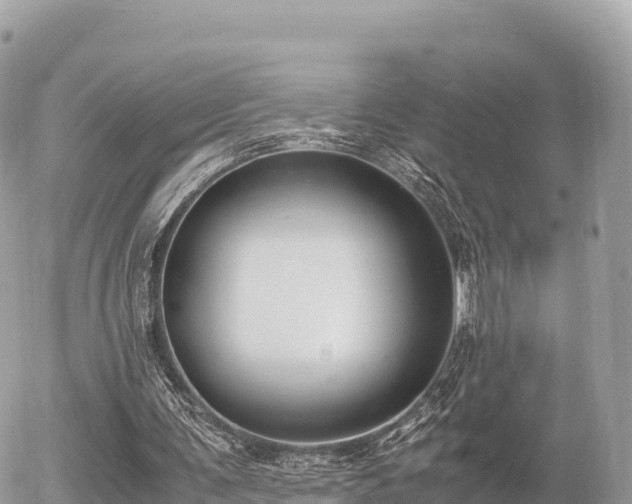 X0000056000291200508261757