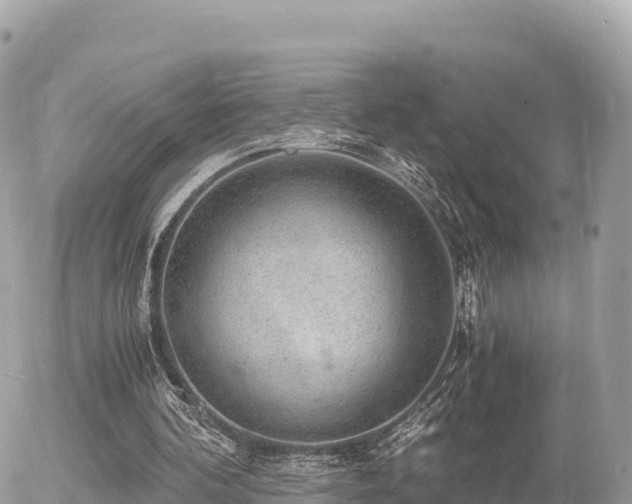 X0000056000292200508261757