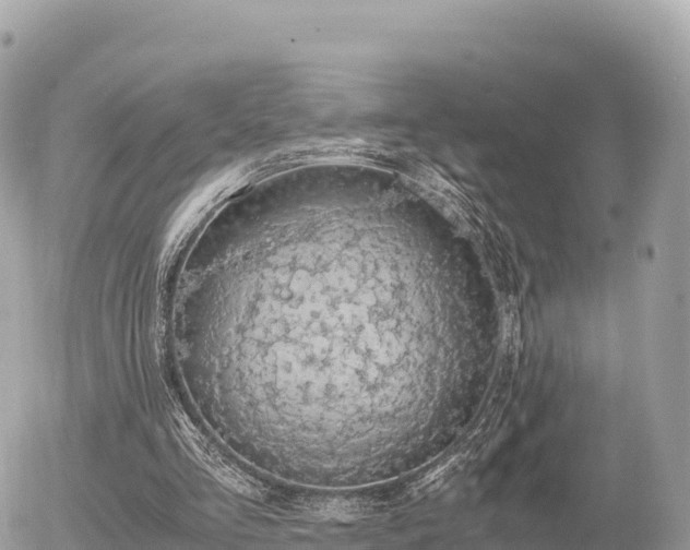 X0000056000293200508261757