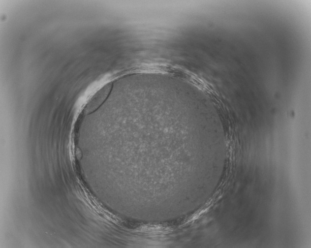 X0000056000294200508261757