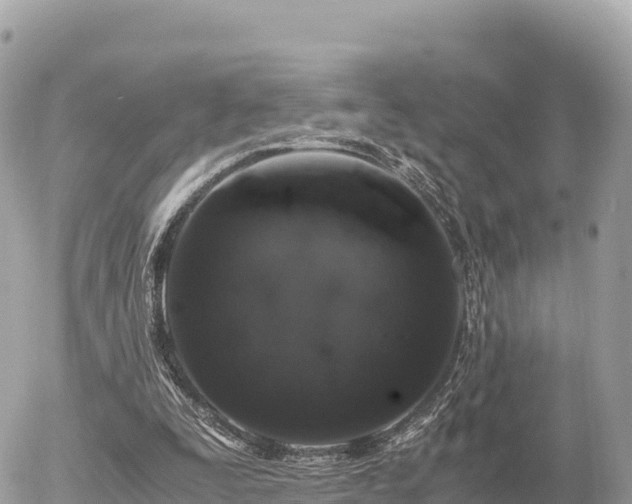 X0000056000295200508261756