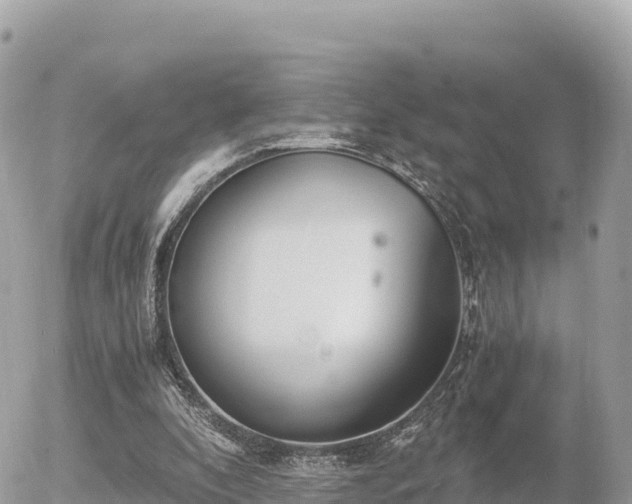 X0000056000296200508261756