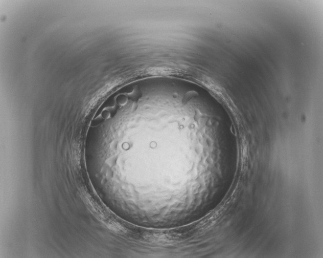 X0000056000297200508261756